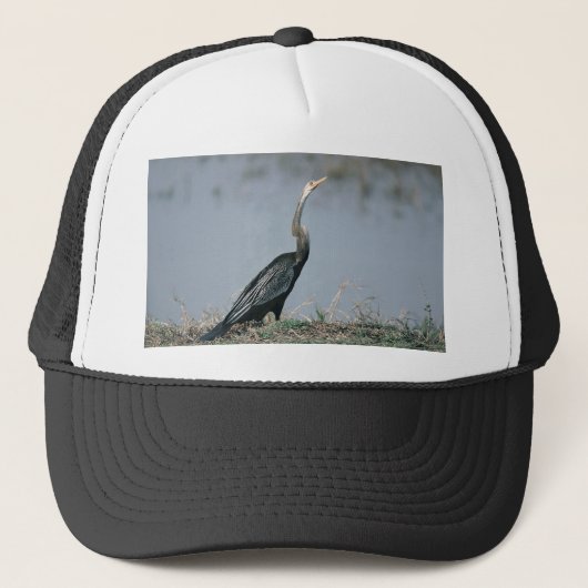 Animal-Anhinga Trucker Pet (Voorkant)