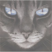 Animal anime stijl-6 sticker (Voorkant)