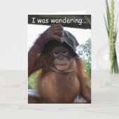 Animal Baby Be My Valentine Feestdagen Kaart (Voorkant)