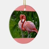Animal Bird American Flamingo Ornament (Rechts)