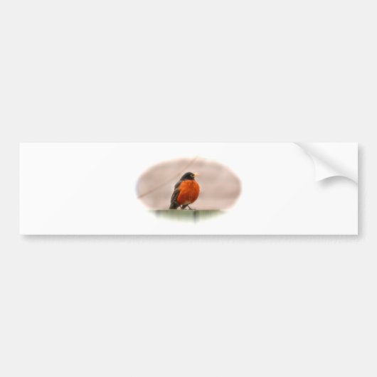 Animal Bird American Robin Bumpersticker (Voorkant)