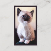 Animal Care Professional Placeholder Foto Visitekaartje (Voorkant)