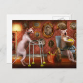 Animal - Cat - Retirement home for cats Briefkaart (Voorkant / Achterkant)