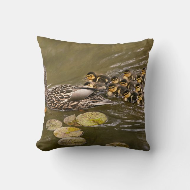Animal - Ducks - Swim like a duck Kussen (Voorkant)