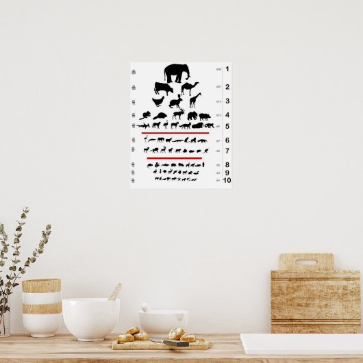 Animal Eye Chart Poster (Keuken)