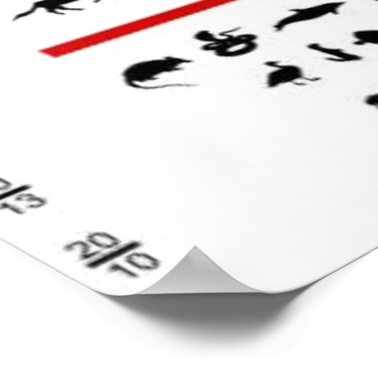 Animal Eye Chart Poster (Hoek)