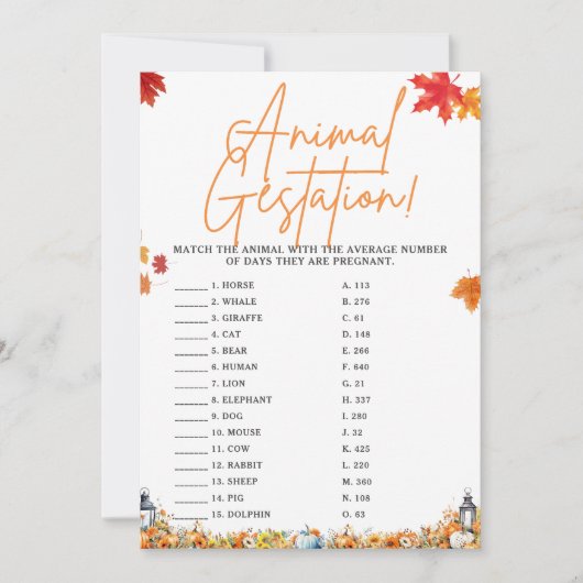 ANIMAL GESTATION BABY SHOWER SPEL KLEINE POMPOEN KAART (Voorkant)