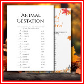 ANIMAL GESTATION BABY SHOWER SPEL KLEINE POMPOEN KAART