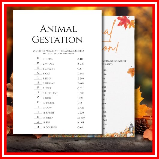 ANIMAL GESTATION BABY SHOWER SPEL KLEINE POMPOEN KAART