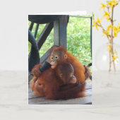 Animal Hugs Orangutan Baby Kaart (Gele Bloem)