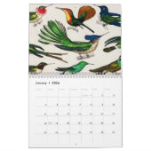  Animal Insects Bugs Fish Zoology Kingdom Kalender (Jan 2026)