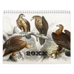  Animal Insects Bugs Fish Zoology Kingdom Kalender
