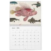  Animal Insects Bugs Fish Zoology Kingdom Kalender (Mar 2026)