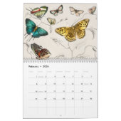  Animal Insects Bugs Fish Zoology Kingdom Kalender (Feb 2026)