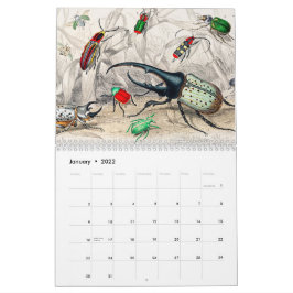  Animal Insects Bugs Fish Zoology Kingdom Kalender