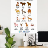 Animal Insults in Jewish Languages Poste Poster (Thuiskantoor)