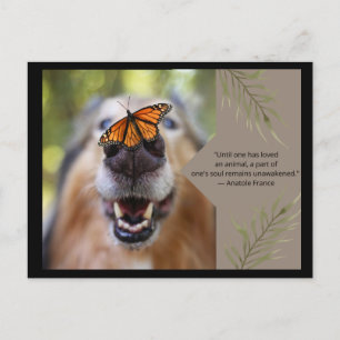 Animal Love-Dog Briefkaart