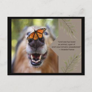 Animal Love-Dog Briefkaart