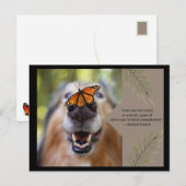 Animal Love-Dog Briefkaart (Voorkant / Achterkant)