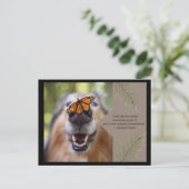 Animal Love-Dog Briefkaart (Staand voorkant)