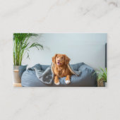 Animal Pet Influencer Volledige foto QR-code Visitekaartje (Voorkant)