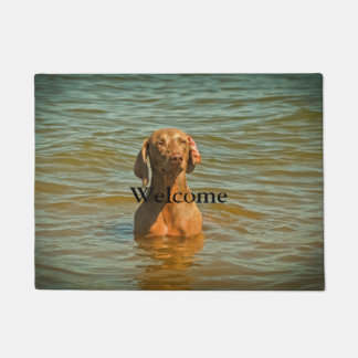 Animal Portrait Dog Deurmat
