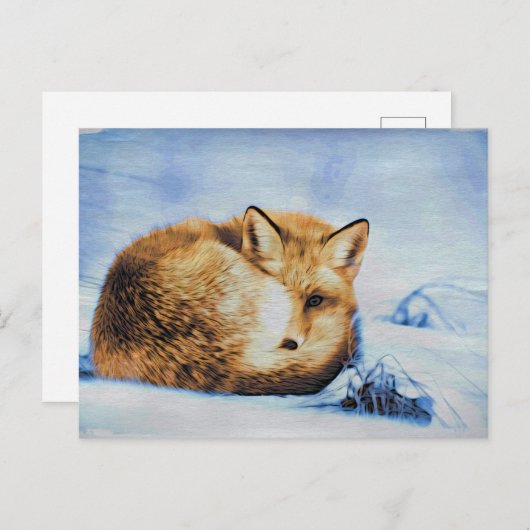 *~* Animal Red Fox Ap18 Artistic Soft Wildlife Briefkaart (Voorkant / Achterkant)