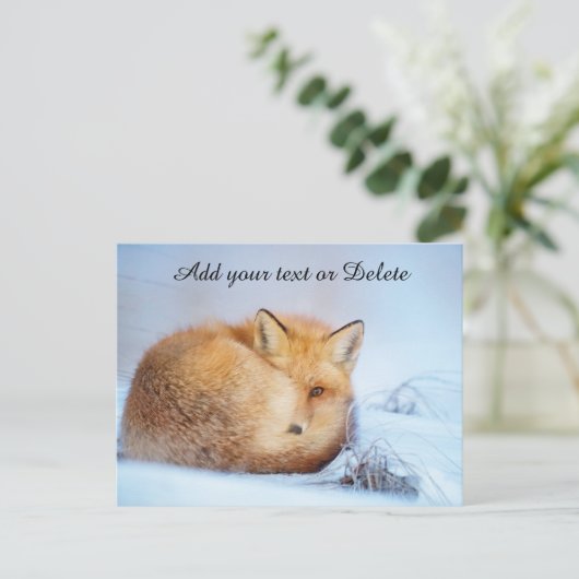 *~* Animal Red Fox Ap18 Wildlife past Artsy aan  Briefkaart (Staand voorkant)