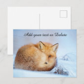 *~* Animal Red Fox Ap18 Wildlife past Artsy aan Briefkaart (Voorkant / Achterkant)