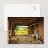 Animal - Sheep - Counting sheep Briefkaart (Voorkant / Achterkant)