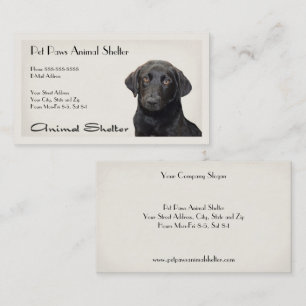 Animal Shelter Hospital Visitekaartje