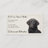 Animal Shelter Hospital Visitekaartje (Voorkant)