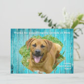 Animal Shelter Thank You Photo Template Wood Card Kaart (Staand voorkant)