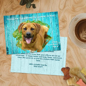 Animal Shelter Thank You Photo Template Wood Card Kaart
