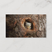 Animal - Squirrel - I'm not shy I'm an introvert Visitekaartje (Achterkant)