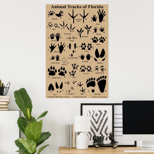 Animal Tracks van Florida 24x36 Poster (Thuiskantoor)