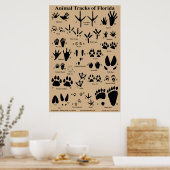 Animal Tracks van Florida Poster (Keuken)