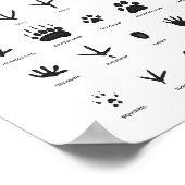 Animal Tracks Woodland Nursery Decor Poster (Hoek)