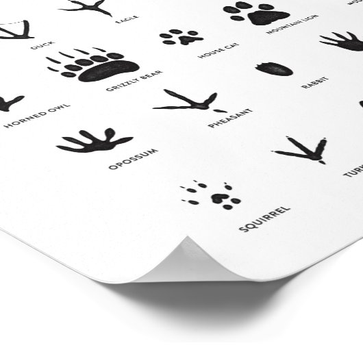 Animal Tracks Woodland Nursery Decor Poster (Hoek)