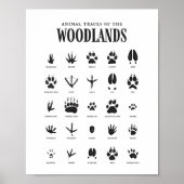 Animal Tracks Woodland Nursery Decor Poster (Voorkant)