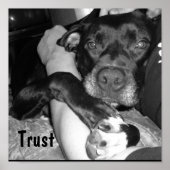 Animal Trust Poster (Voorkant)