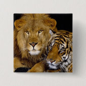 AnImAl Vierkante Button 5,1 Cm (Voorkant)