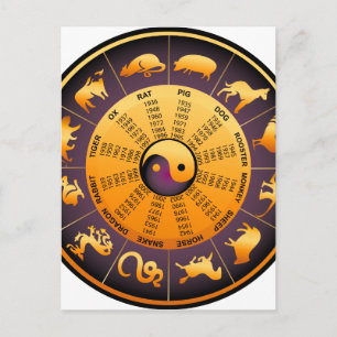Animal Yin Yang Briefkaart