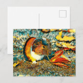 AnimalArt_Cavia_001 Briefkaart (Voorkant / Achterkant)