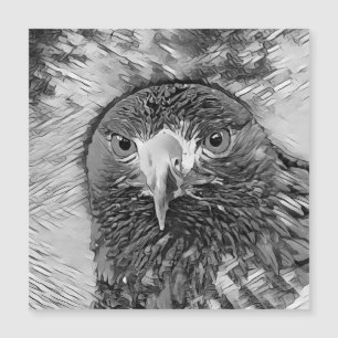 AnimalArtBW_Bird_003