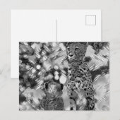 AnimalArtBW_Cheetah_008 Briefkaart (Voorkant / Achterkant)