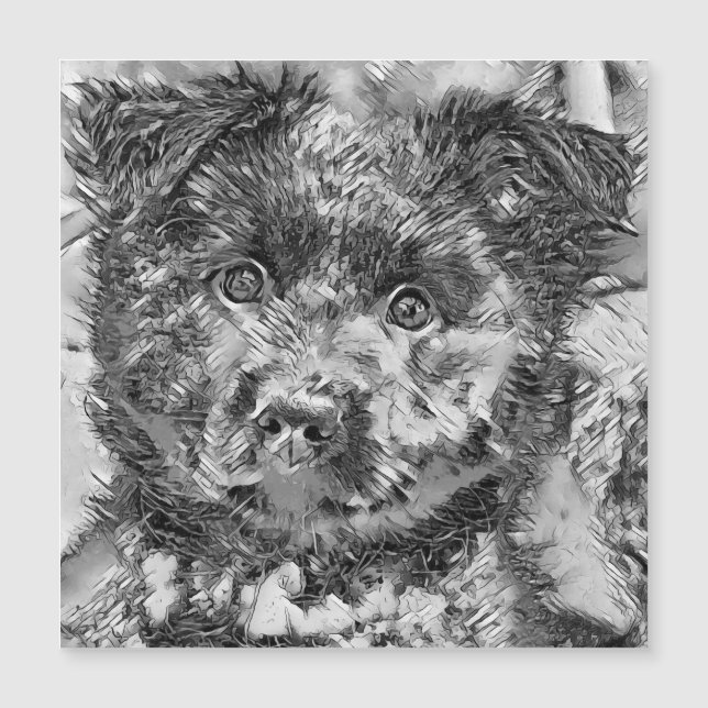 AnimalArtBW_Dog_005 (Voorkant)