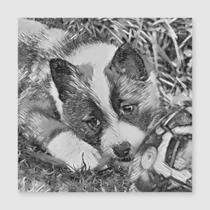AnimalArtBW_Dog_012