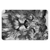 AnimalArtBW_Lion_003 Magneet (Horizontaal)