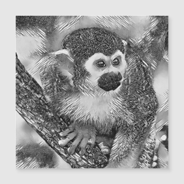 AnimalArtBW_Monkey_002 (Voorkant)